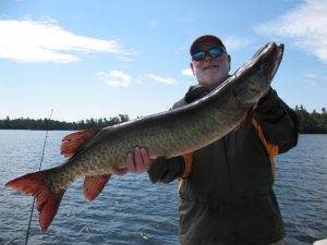lake of the woods musky fishing guide