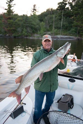 Lake of the Woods Kenora fishing guide - Musky Guide